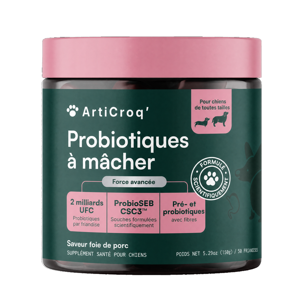 Friandises Probiotiques