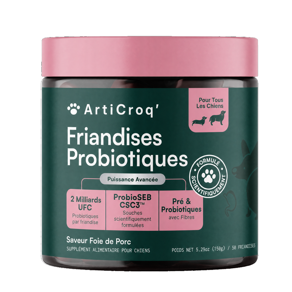 Friandises Probiotiques