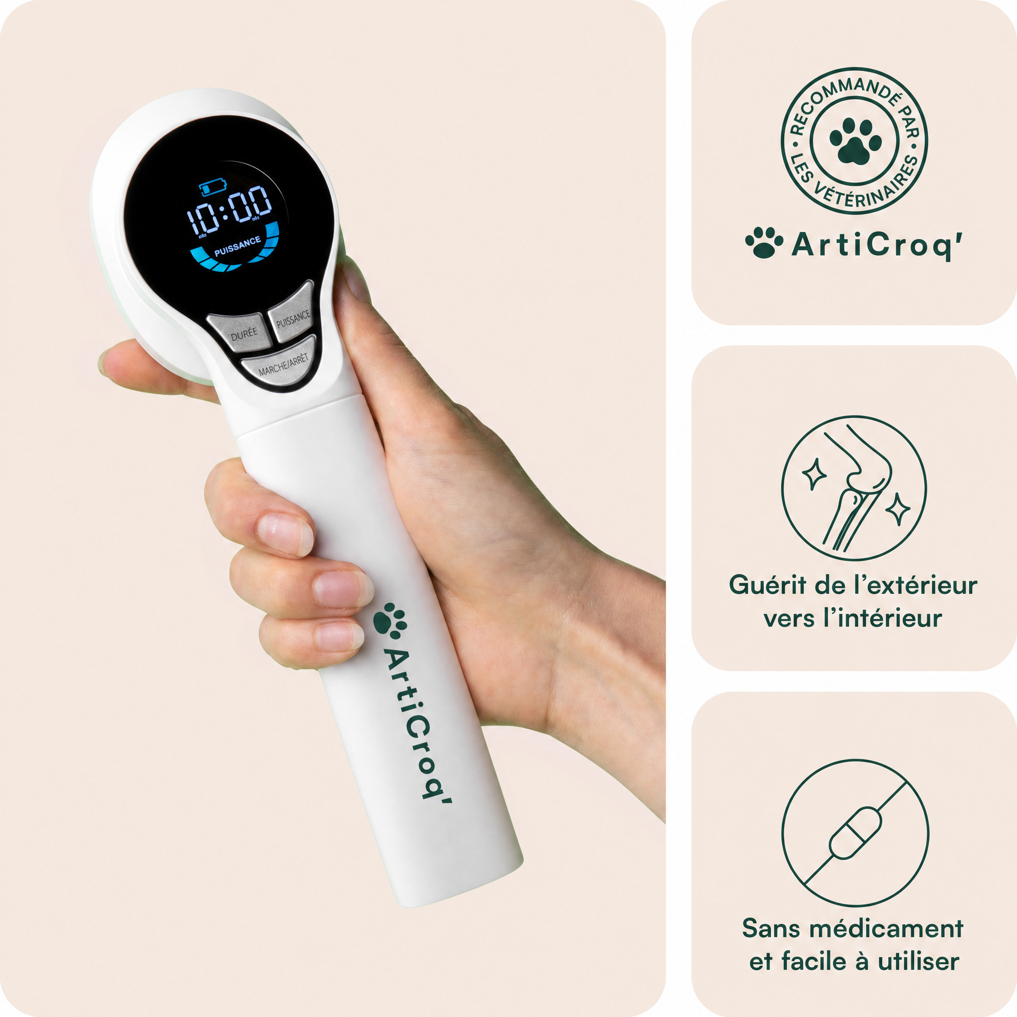 Thérapie Laser Portable