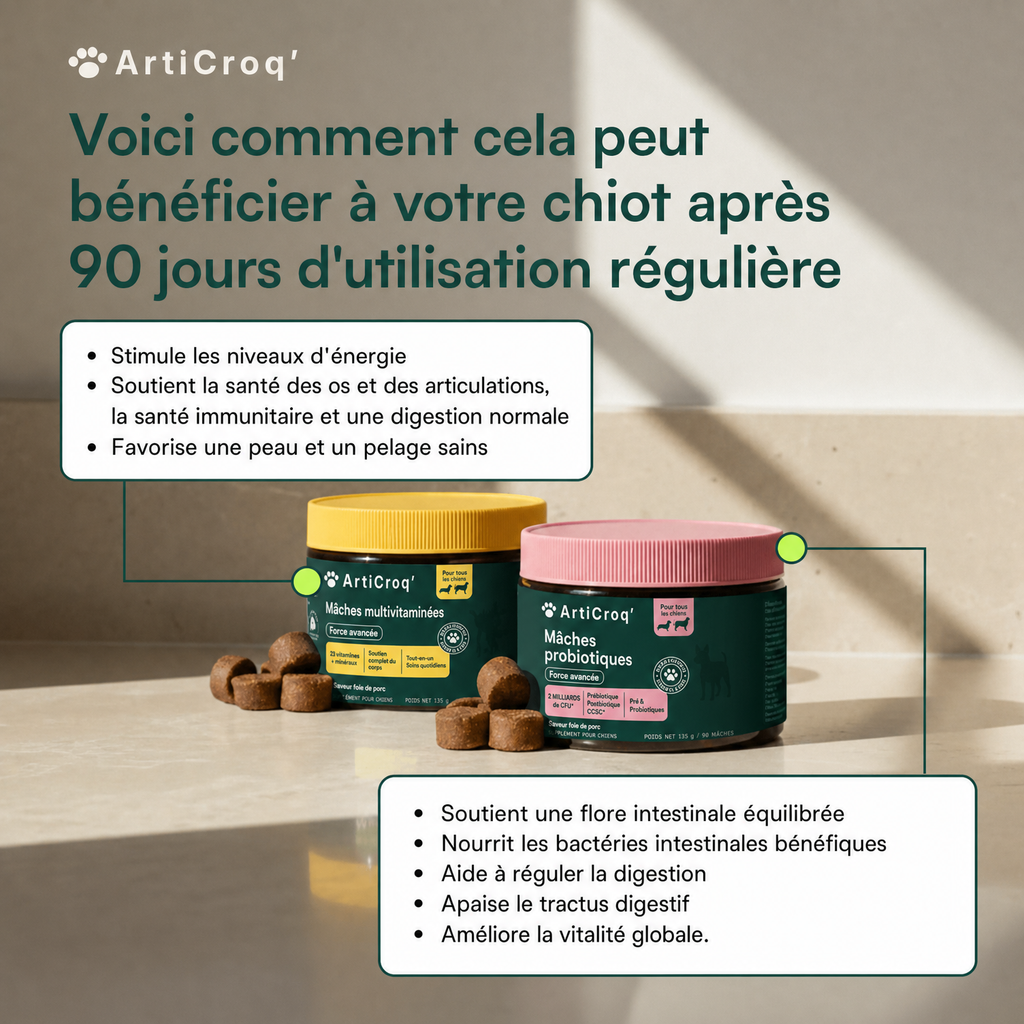 Friandises Multivitamines + Friandises Probiotiques