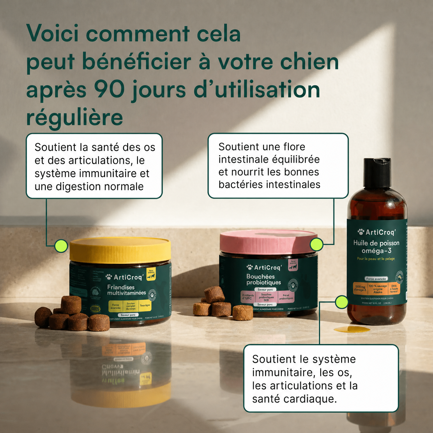 Friandises Multivitamines + Friandises Probiotiques + Huile de poisson Oméga 3 16 oz