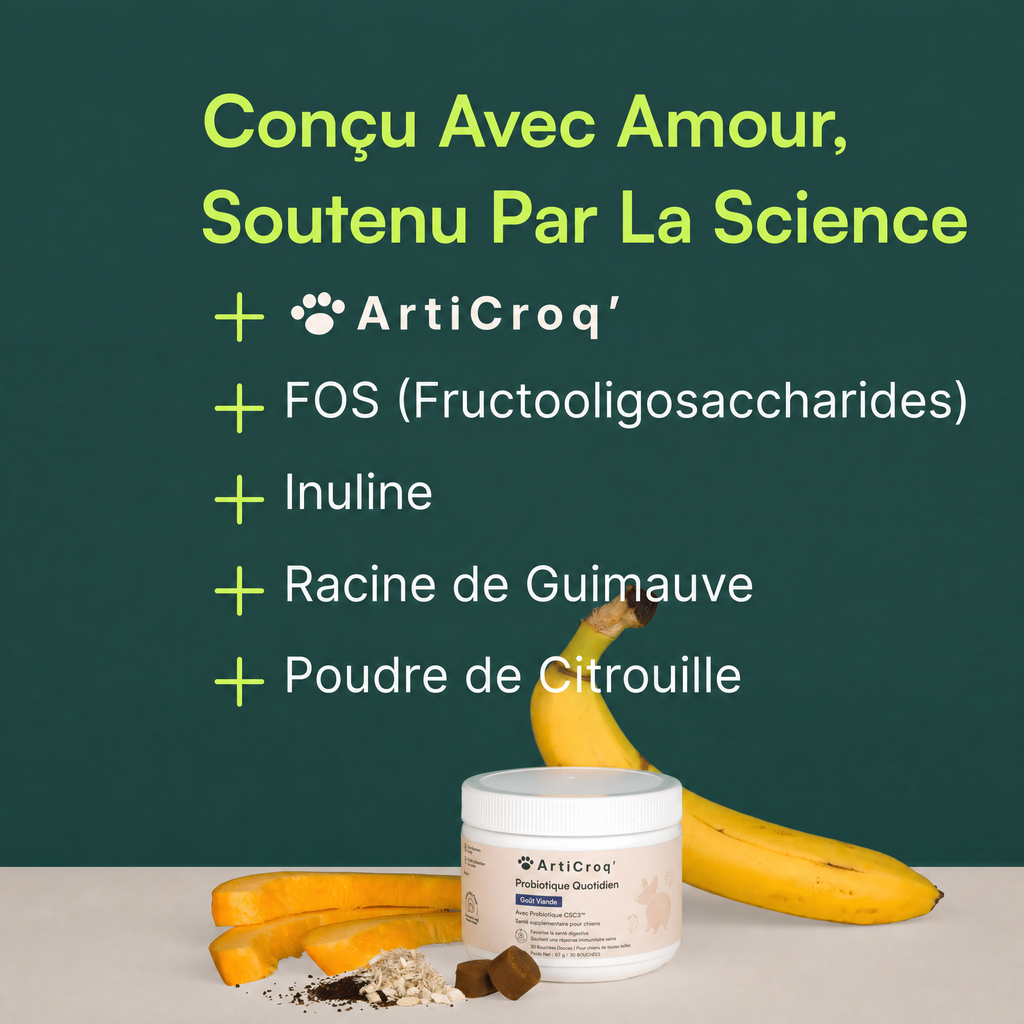 Friandises Probiotiques