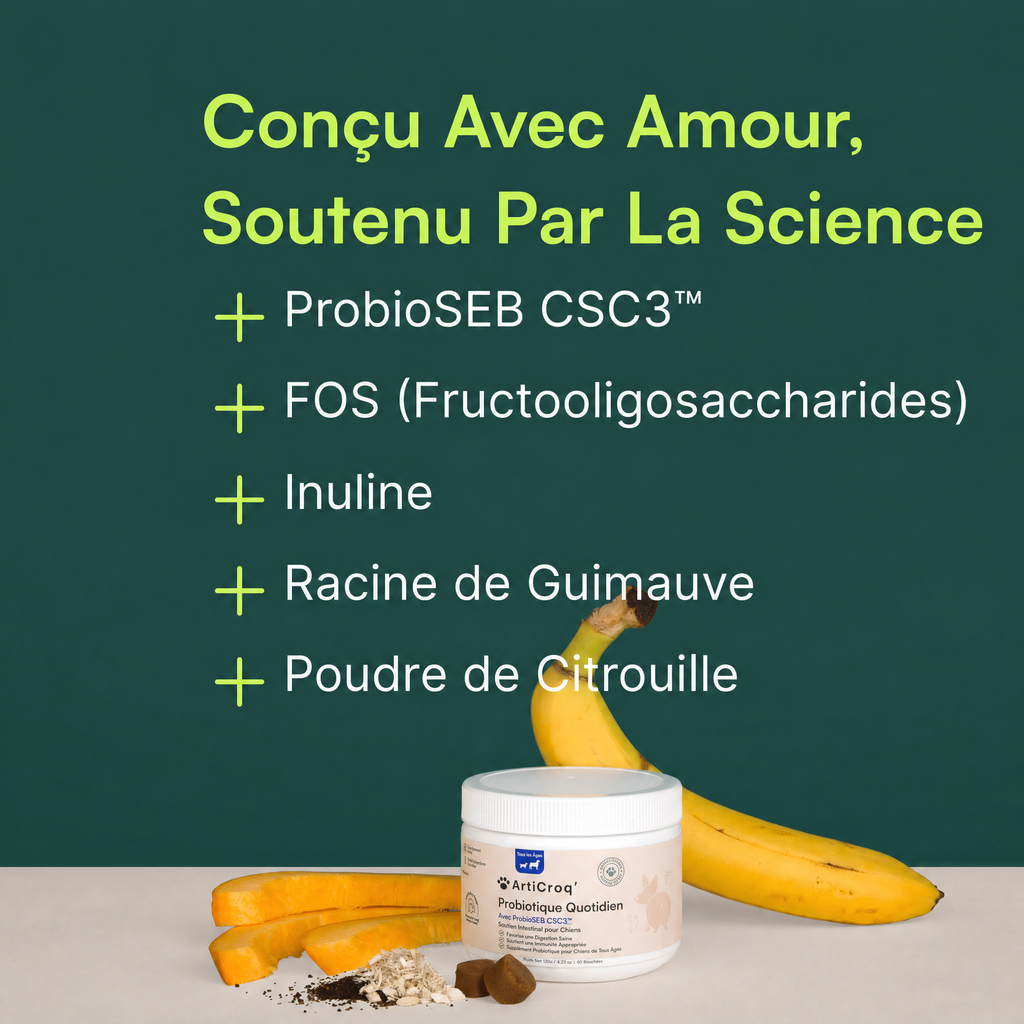 Friandises Probiotiques