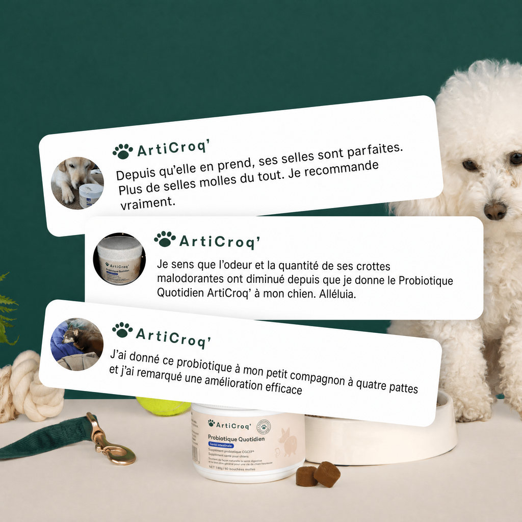 Friandises Probiotiques