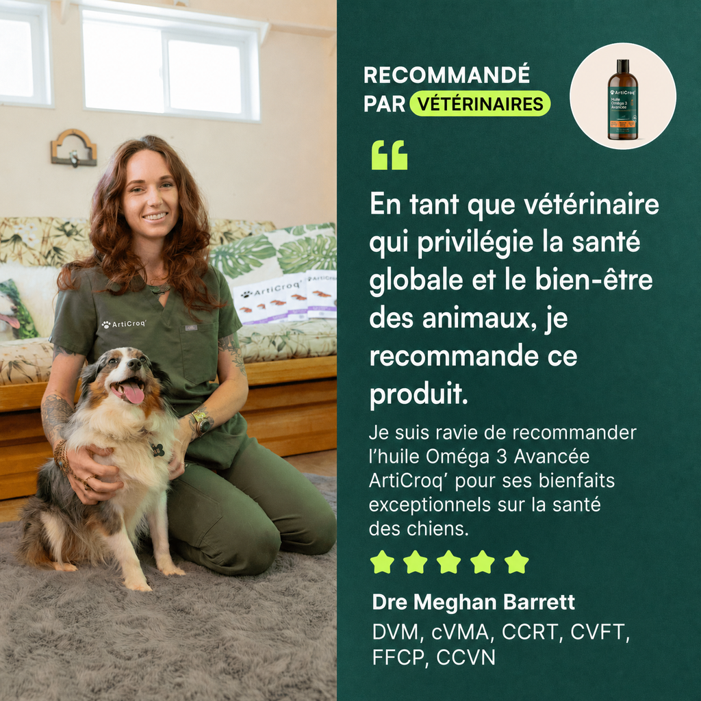 Friandises Multivitamines + Friandises Probiotiques + Huile de poisson Oméga 3 16 oz